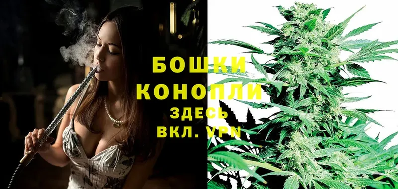 Бошки Шишки THC 21%  Агрыз 